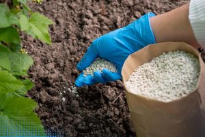Fertilizer